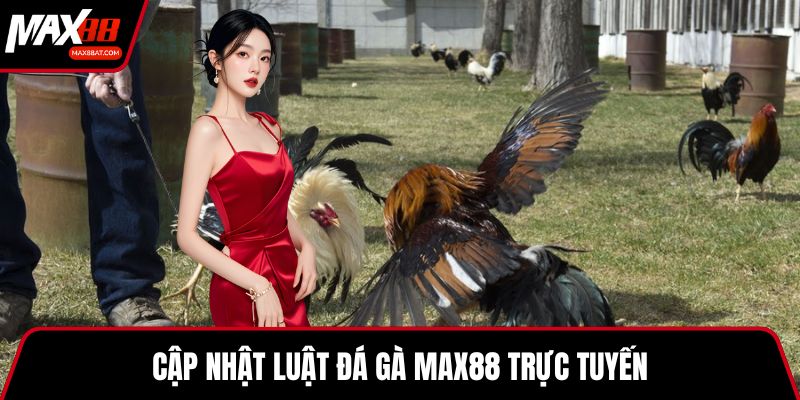 Cập nhật luật đá gà MAX88 trực tuyến