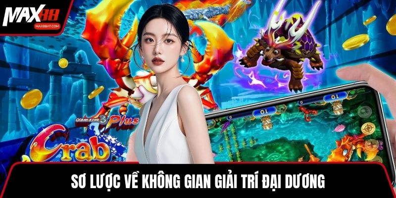 Sơ lược về không gian giải trí đại dương